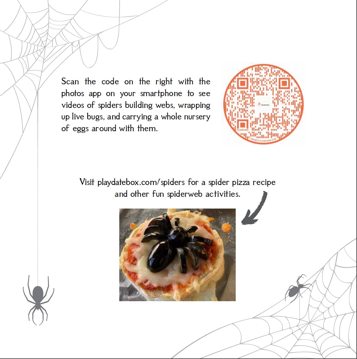 Spiderwebs & Spider Silk - Make Momentos