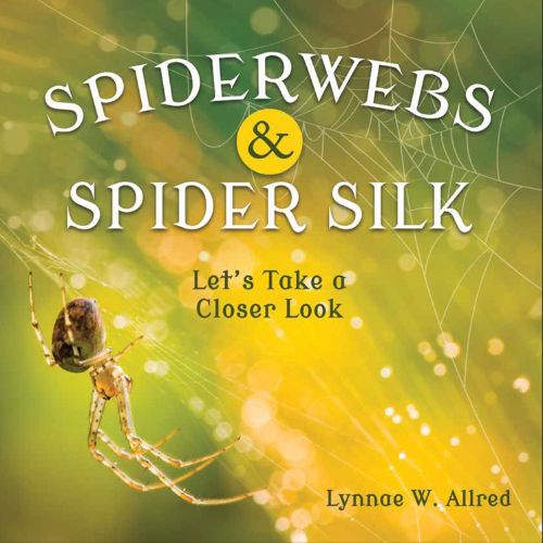 Spiderwebs & Spider Silk - Make Momentos